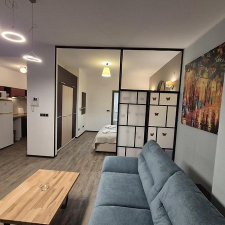 Fabulous Panorama Silver Mountain Apartments ポイアナ・ブラショフ エクステリア 写真