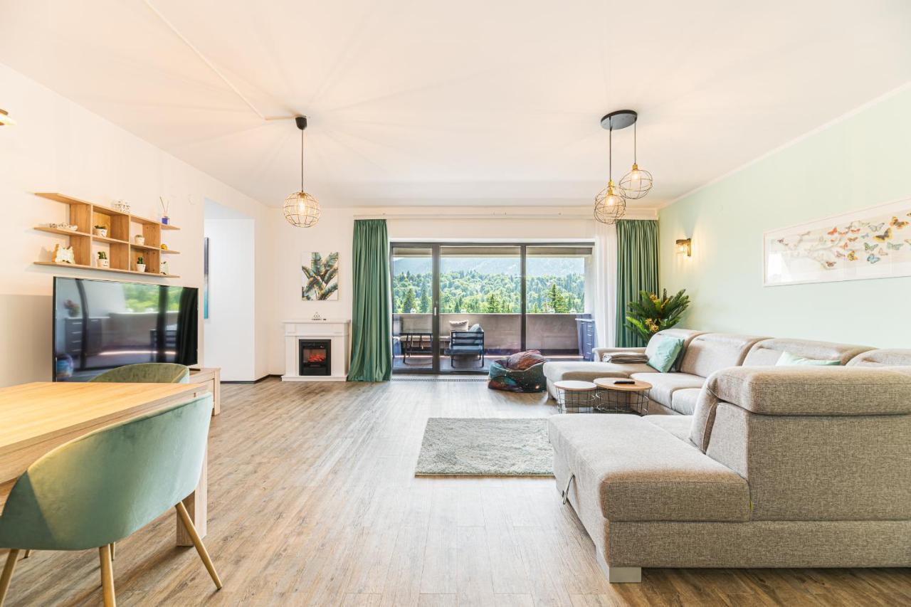 Fabulous Panorama Silver Mountain Apartments ポイアナ・ブラショフ エクステリア 写真