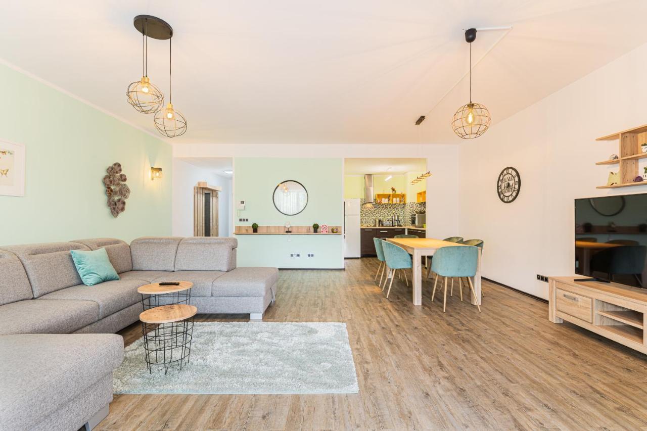 Fabulous Panorama Silver Mountain Apartments ポイアナ・ブラショフ エクステリア 写真