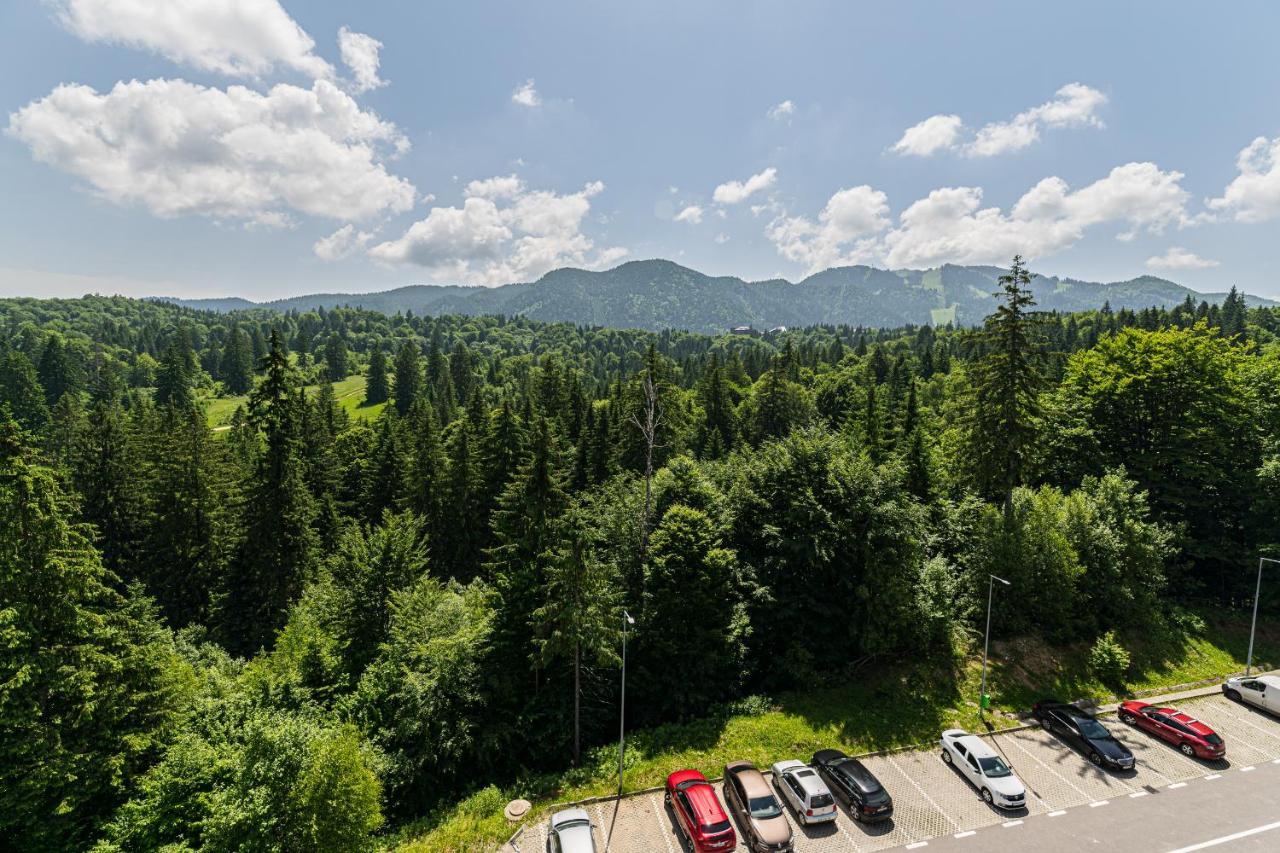 Fabulous Panorama Silver Mountain Apartments ポイアナ・ブラショフ エクステリア 写真