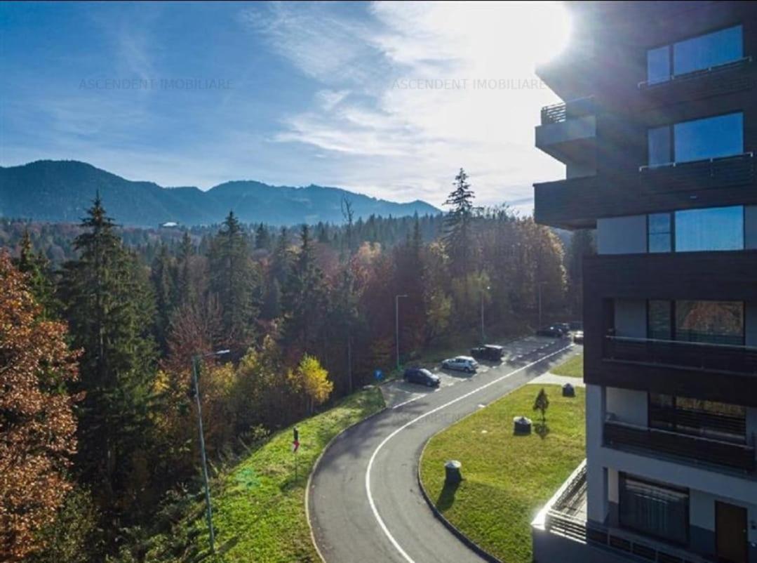 Fabulous Panorama Silver Mountain Apartments ポイアナ・ブラショフ エクステリア 写真