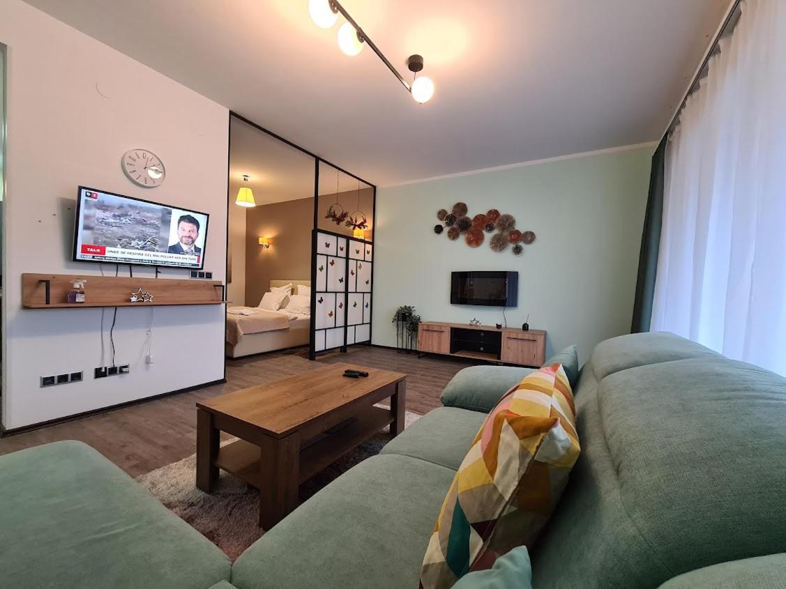 Fabulous Panorama Silver Mountain Apartments ポイアナ・ブラショフ エクステリア 写真