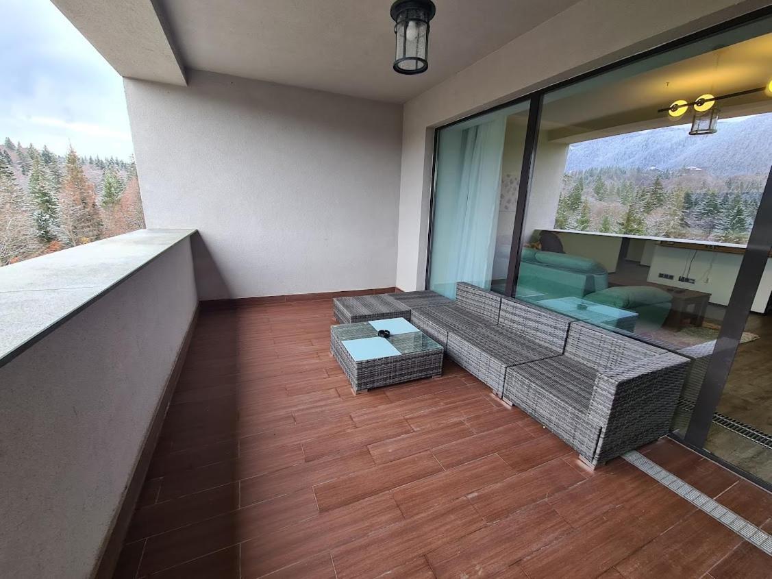 Fabulous Panorama Silver Mountain Apartments ポイアナ・ブラショフ エクステリア 写真