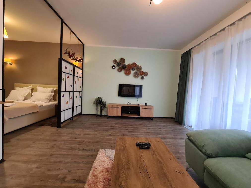 Fabulous Panorama Silver Mountain Apartments ポイアナ・ブラショフ エクステリア 写真