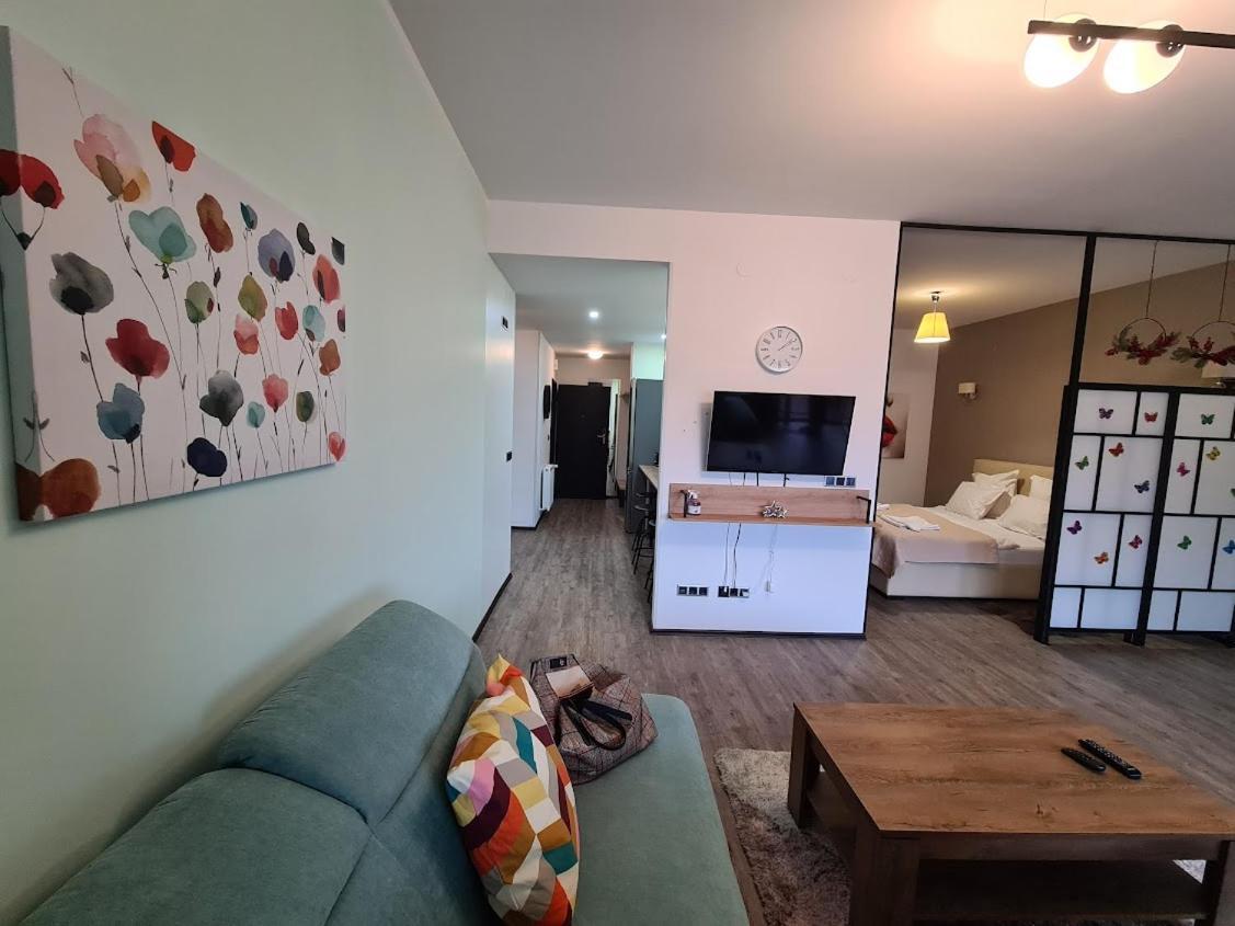 Fabulous Panorama Silver Mountain Apartments ポイアナ・ブラショフ エクステリア 写真