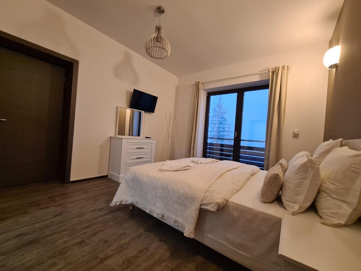 Fabulous Panorama Silver Mountain Apartments ポイアナ・ブラショフ エクステリア 写真