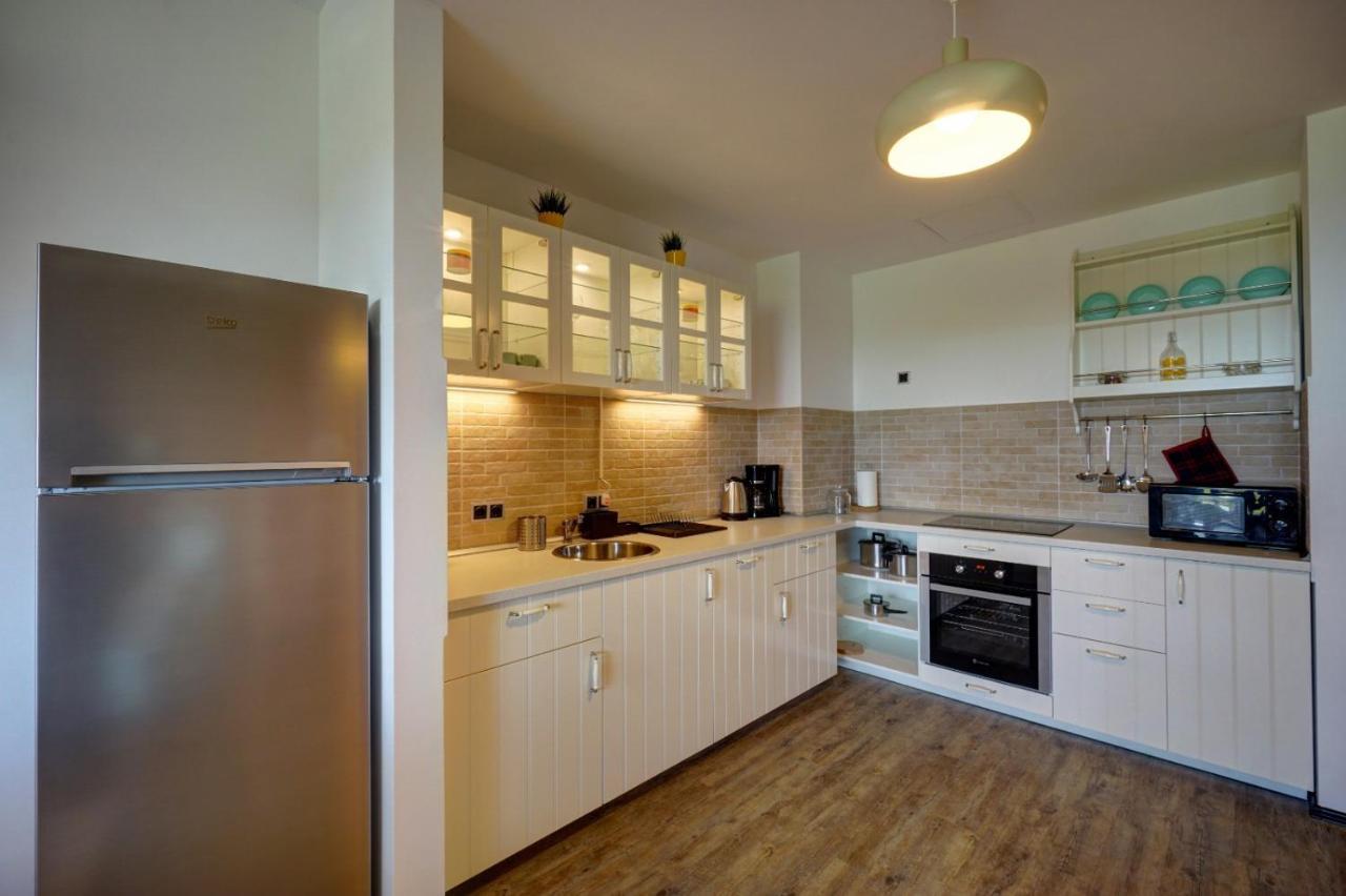 Fabulous Panorama Silver Mountain Apartments ポイアナ・ブラショフ エクステリア 写真
