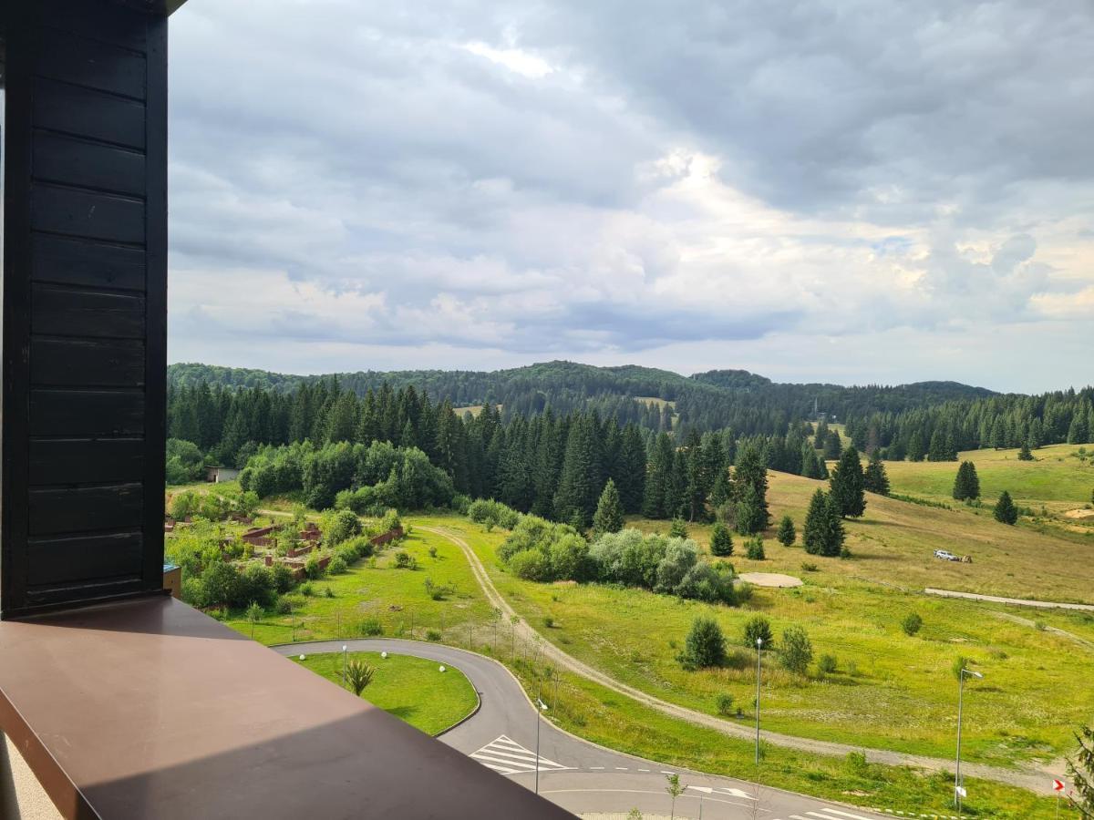 Fabulous Panorama Silver Mountain Apartments ポイアナ・ブラショフ エクステリア 写真
