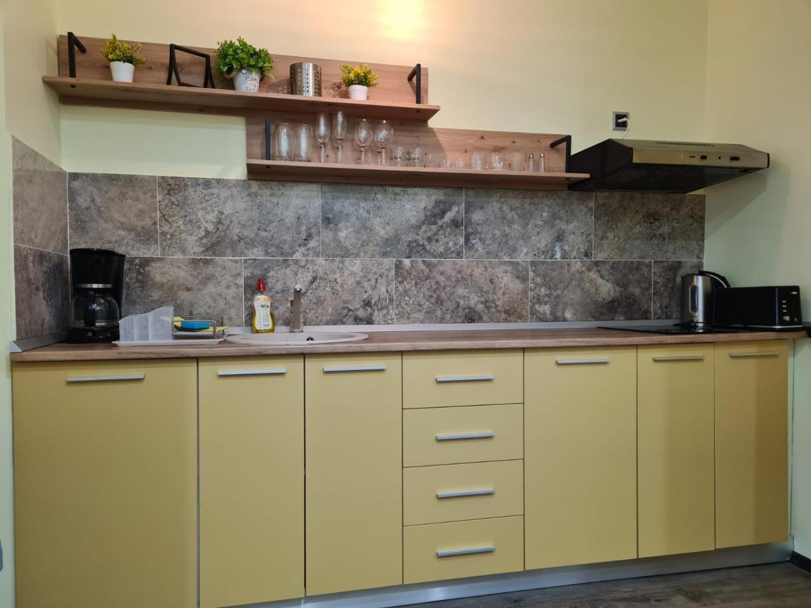 Fabulous Panorama Silver Mountain Apartments ポイアナ・ブラショフ エクステリア 写真
