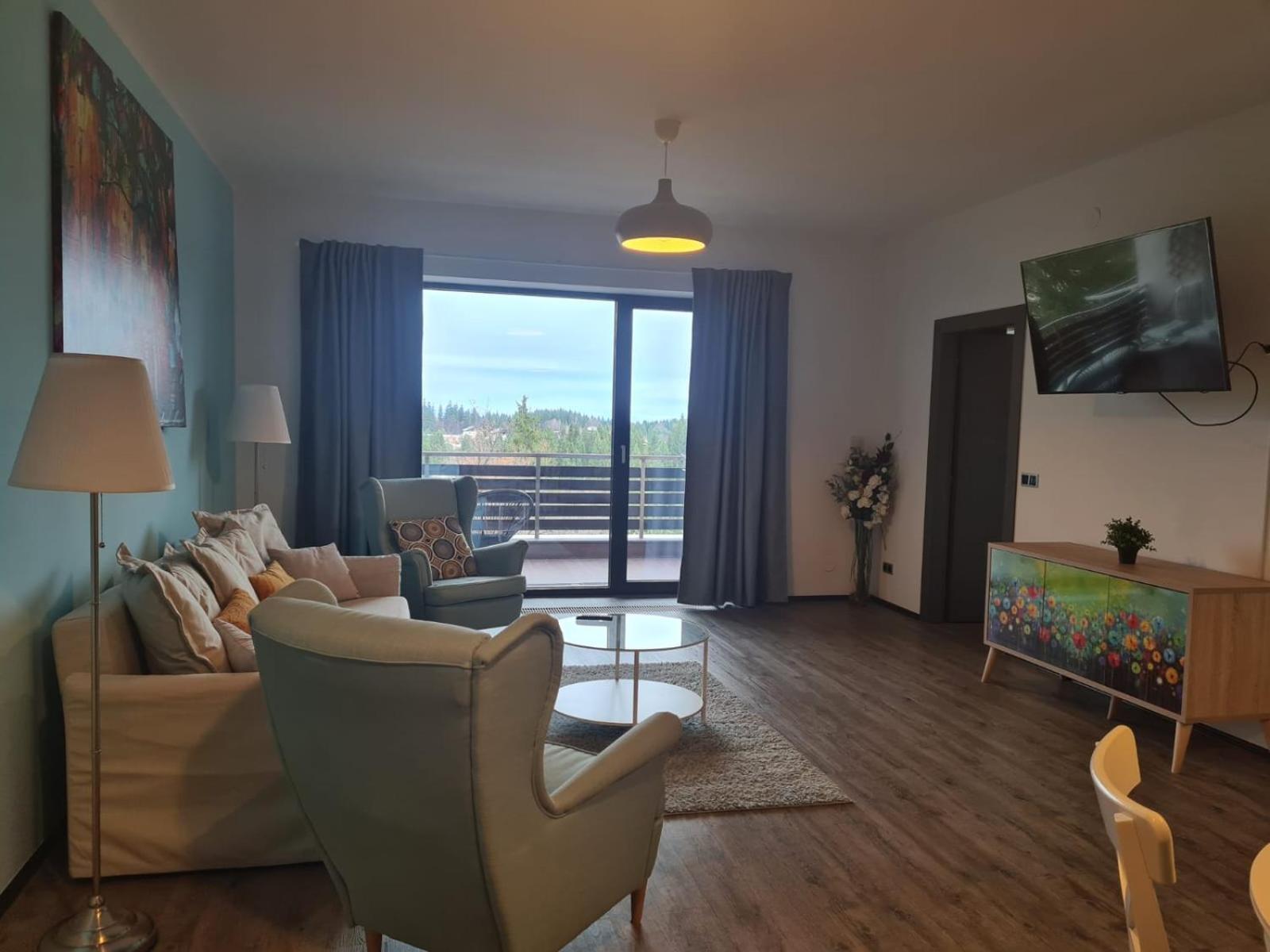 Fabulous Panorama Silver Mountain Apartments ポイアナ・ブラショフ エクステリア 写真