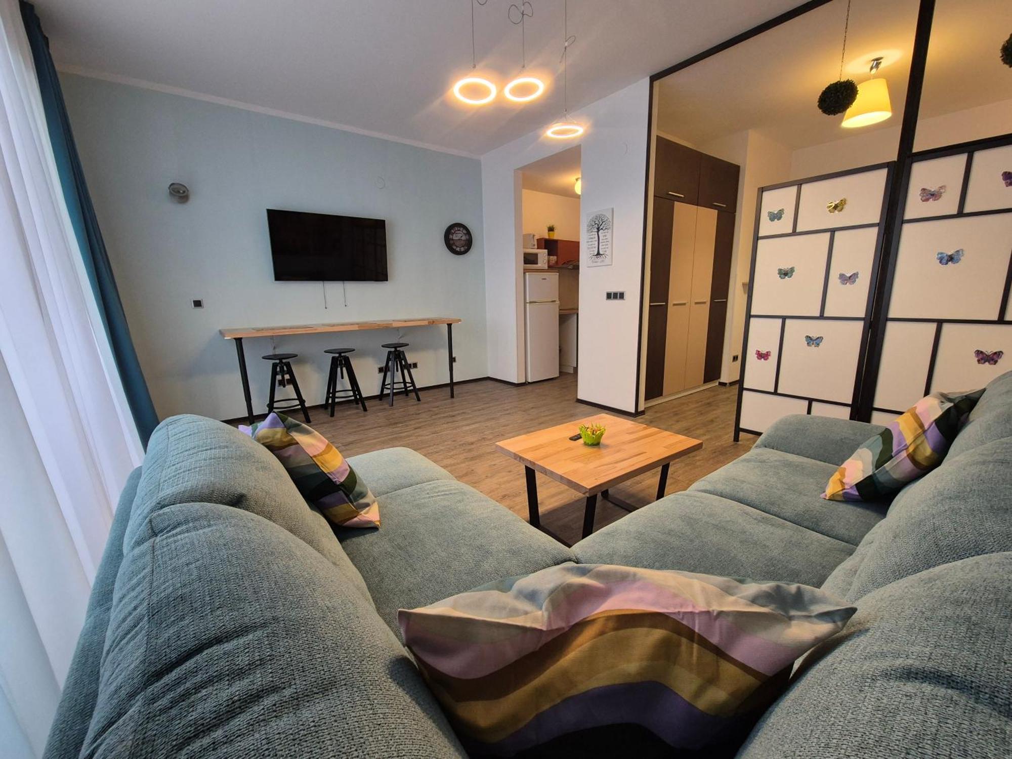 Fabulous Panorama Silver Mountain Apartments ポイアナ・ブラショフ 部屋 写真