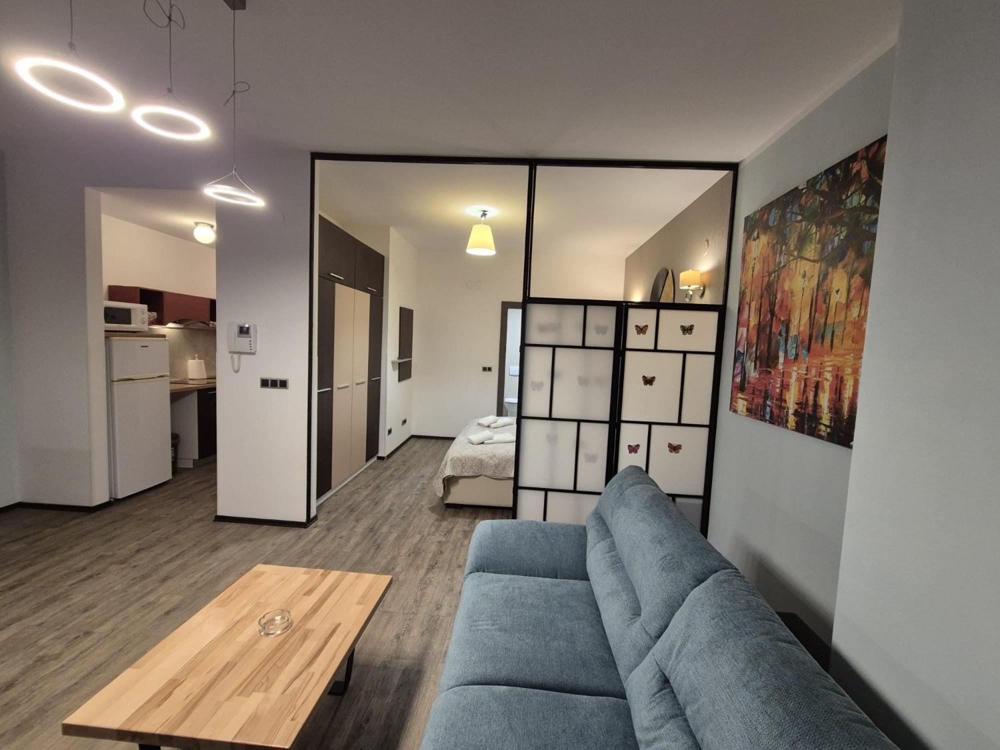 Fabulous Panorama Silver Mountain Apartments ポイアナ・ブラショフ エクステリア 写真