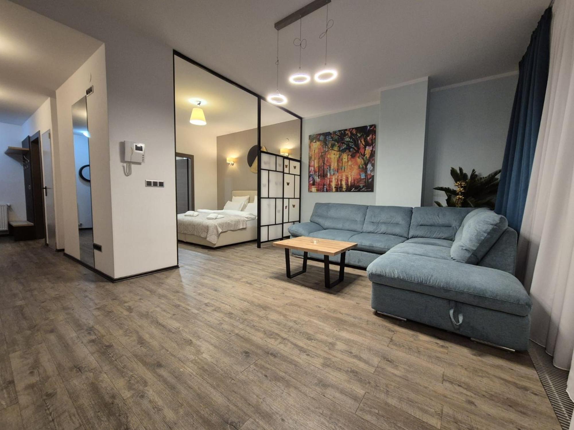 Fabulous Panorama Silver Mountain Apartments ポイアナ・ブラショフ 部屋 写真